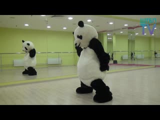 pandadance - when even a panda dances better than you (good mood, humor, funny video, dance, pole dancing, panda pole).