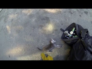 gopro- fireman saves kitten